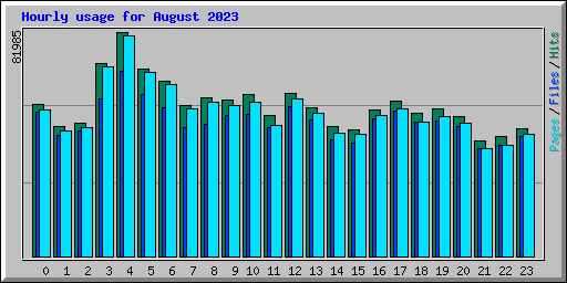Hourly usage for August 2023