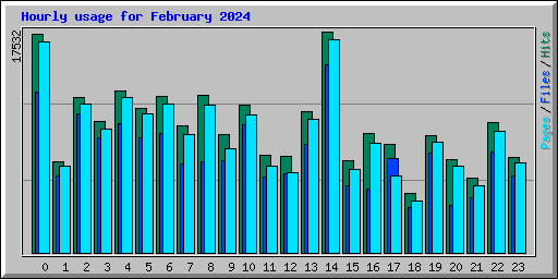 Hourly usage for February 2024